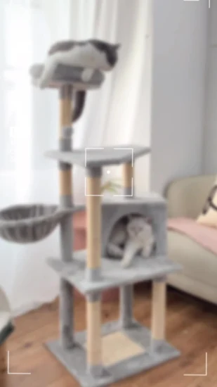 Torre de gato arranhador ISO RoHS por cama de animal de estimação como item de animal de estimação